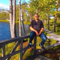 Отзыв от Аркадий - DTV виза